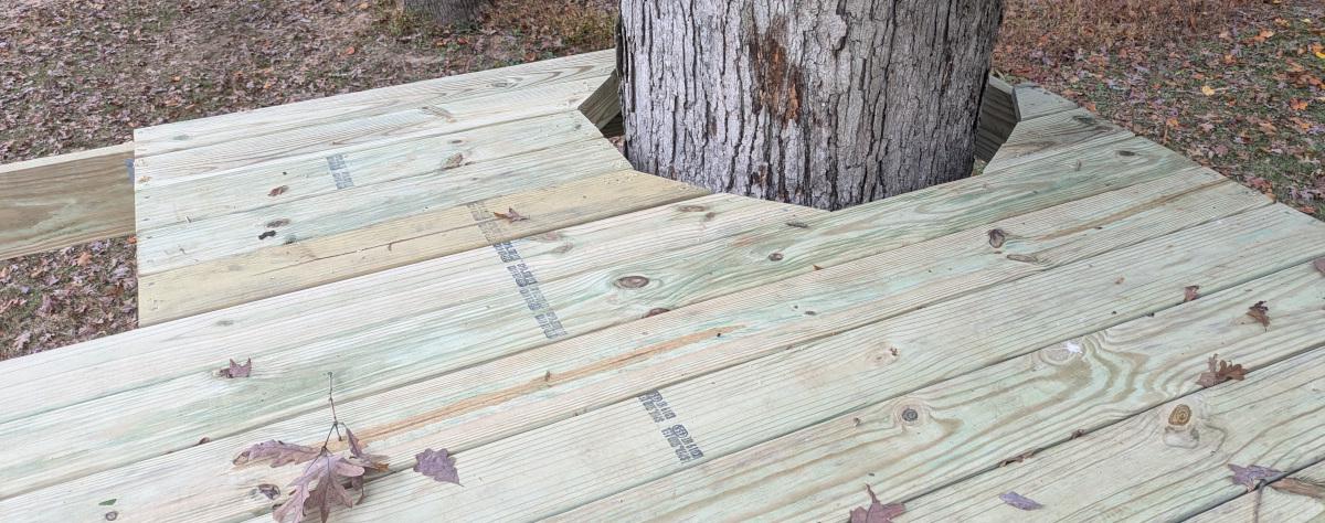 The completed decking on the left side, with an opening for the trap door and the decking around the tree cut at angles to form an octagon-like shape around the trunk.